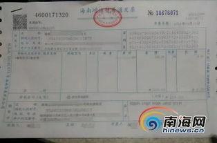 吃瓜乐作文400字,揭秘网络热点的趣味与思考