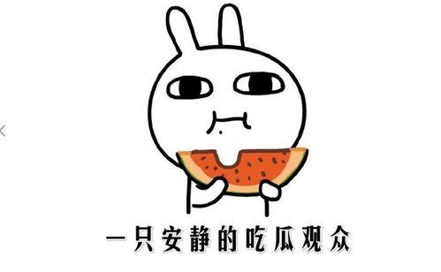 吃瓜群众吃瓜是什么意思,揭秘“吃瓜群众”背后的网络文化现象