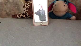 娱乐吃瓜小羊,揭秘娱乐圈那些不为人知的幕后故事