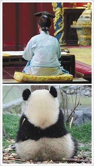 吃瓜群众的日常娱乐,揭秘娱乐圈幕后趣事