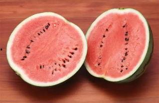 娱乐吃瓜酱的贴纸叫什么,揭秘“娱乐吃瓜酱”贴纸背后的故事